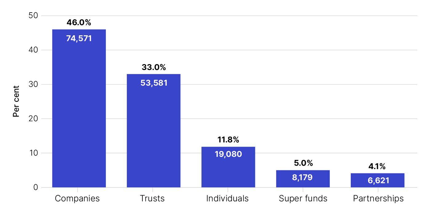 Next 5,000 groups consist of: 74,571 companies which equals 46%, 53,581 individuals which equals 33%, 19,080 trusts which equals 11.8%, 6,621 super funds which equals 4.1%, 8,179 partnerships which equals 5%.