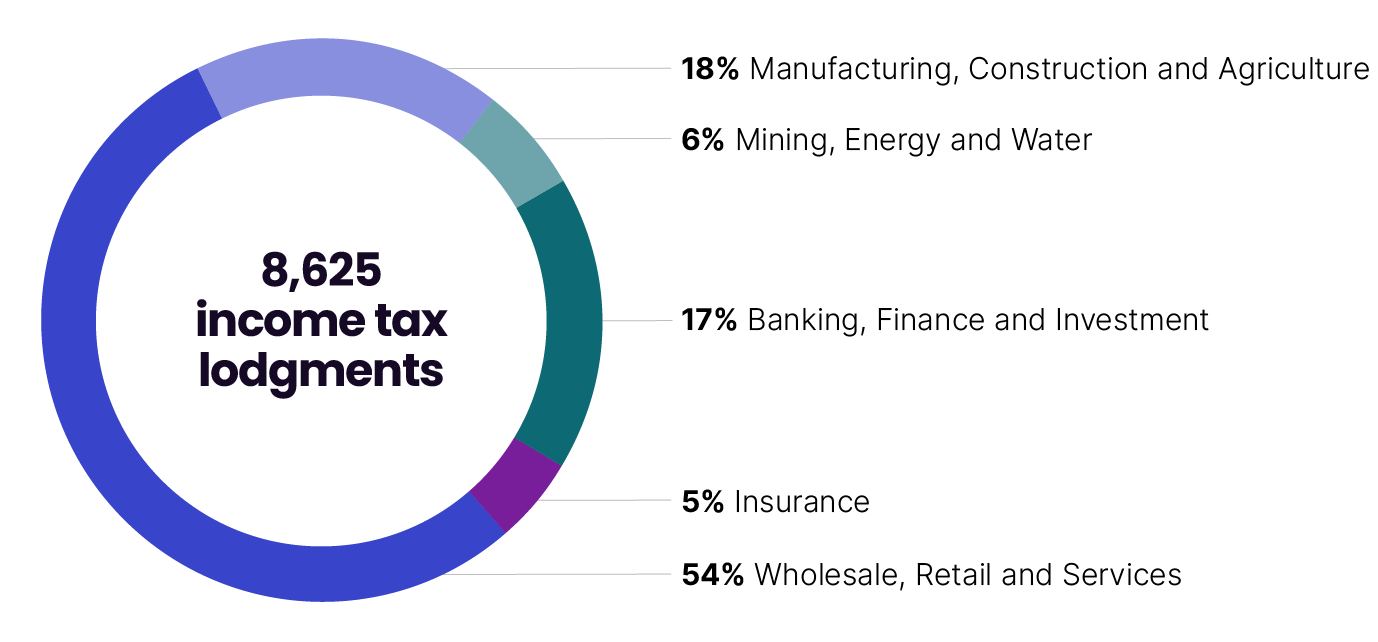 The industry demographics for large corporate groups in 2022–23, by industry sector based on income tax lodgments. Of the 8,625 income tax returns lodged by large corporate groups:
54% are Wholesale, Retail and Services
5% are Insurance
6% are Mining, Energy and Water
17% are Banking, Finance and Investment
18% are Manufacturing, Construction and Agriculture.