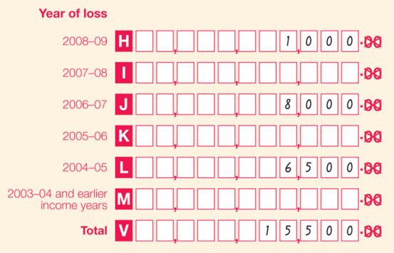 Part A item 2: Year of loss
Label H 2008-09: $1,000
Label I 2007-08: nil
Label J 2006-07: $8,000
Label K 2005-06: nil
Label L 2004-05: $6,500
Label M 2003-04 and earlier income years: nil
Label V Total: $15,500