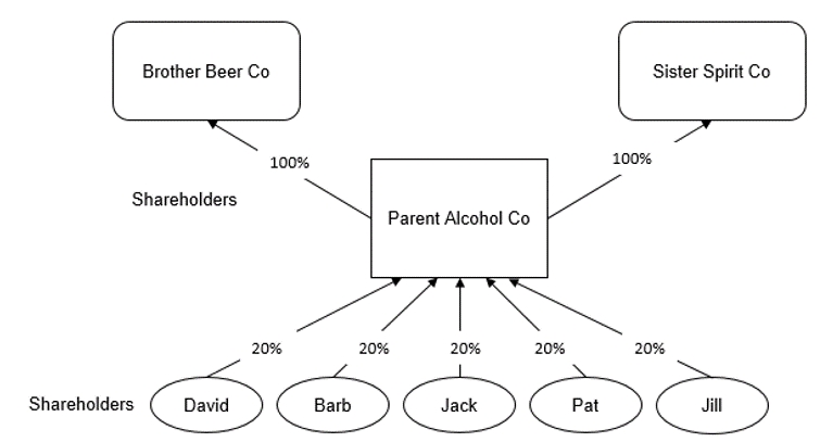 David, Barb, Jack, Pat and Jill each have a 20% shareholding of Parent Alcohol Co. Parent Alcohol Co has a 100% shareholding of Brother Beer Co and a 100% shareholding of Sister Spirit Co.